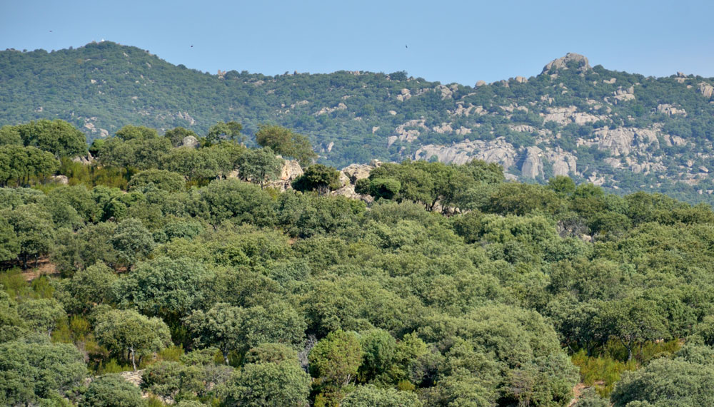 La Sierra de Hoyo de Manzanares