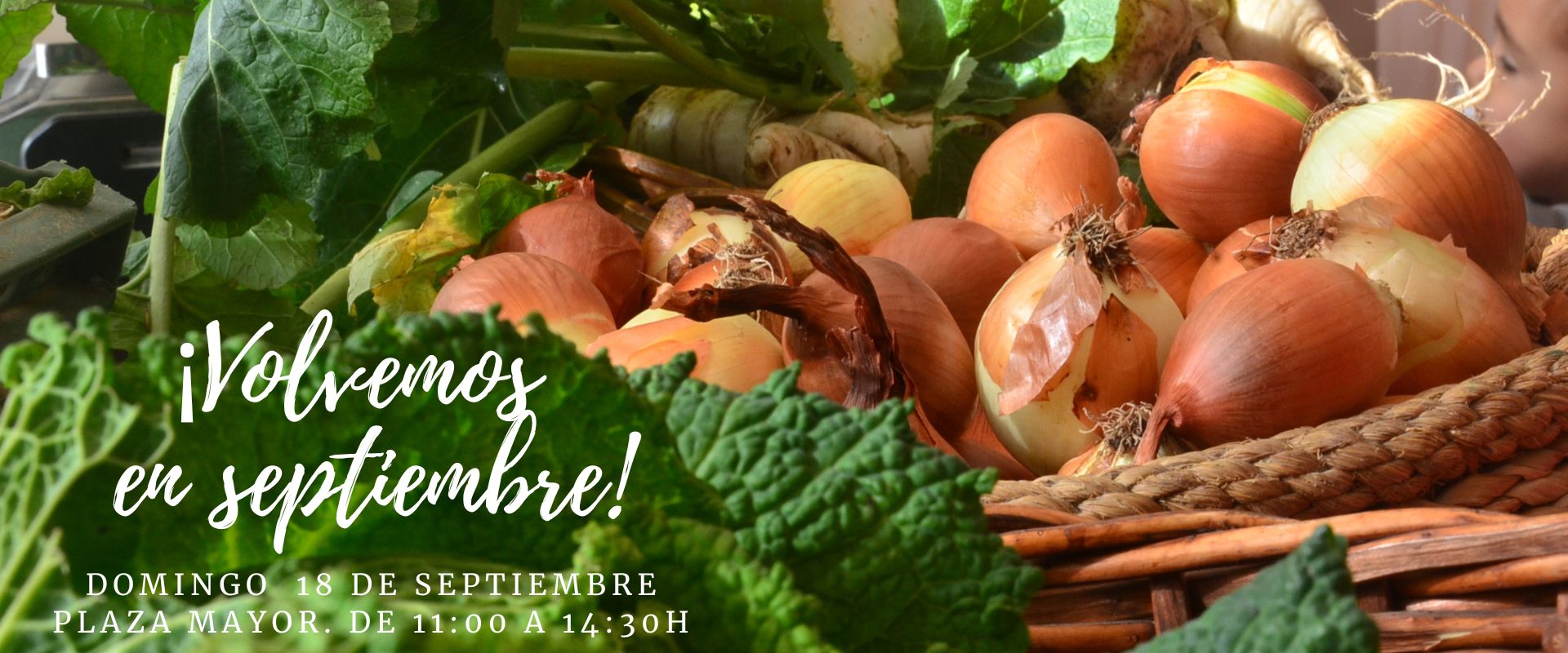 Mercado ecológico y artesano septiembre