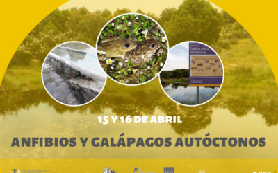 Hoyo de Manzanares colaborará en un proyecto de creación de corredores ecológicos para anfibios