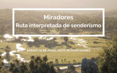 Ruta senderista al Vértice Geodésico de La Solana (10 de junio)