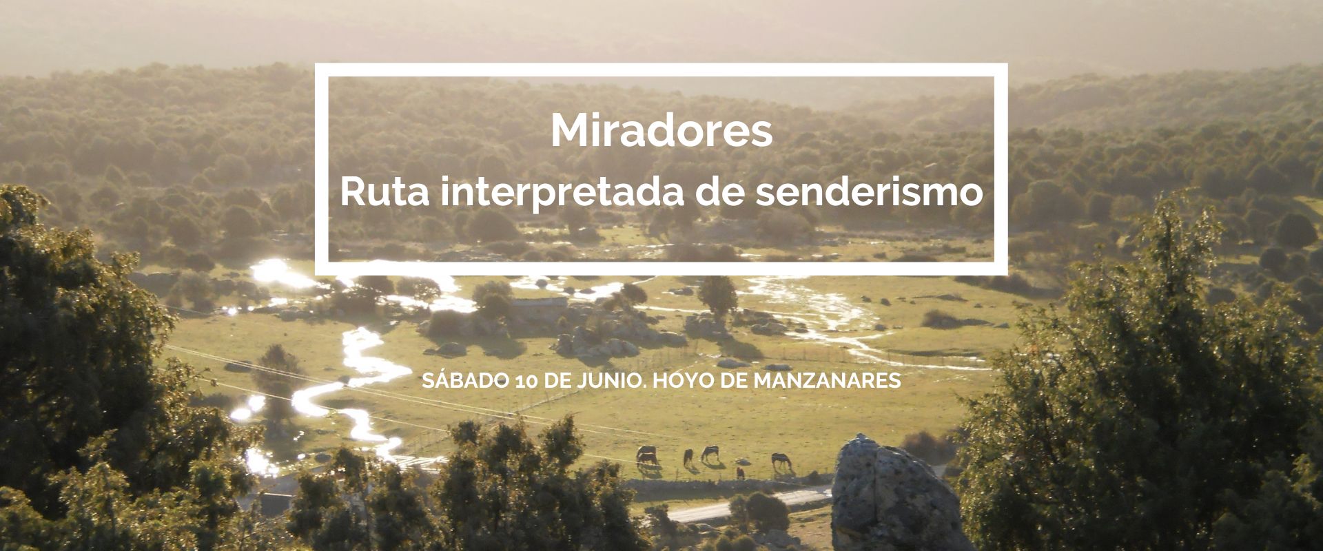 Ruta senderista al Vértice Geodésico de La Solana (10 de junio)