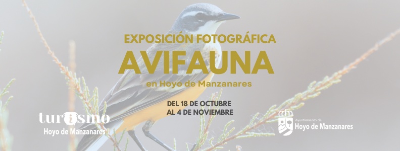 Del 18 de octubre al 4 de noviembre: exposición de fotografía “Avifauna en Hoyo de Manzanares”