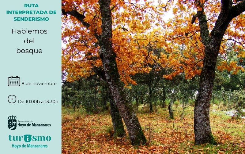 Sábado 8 de noviembre. Ruta interpretada de senderismo. Hablemos del bosque.