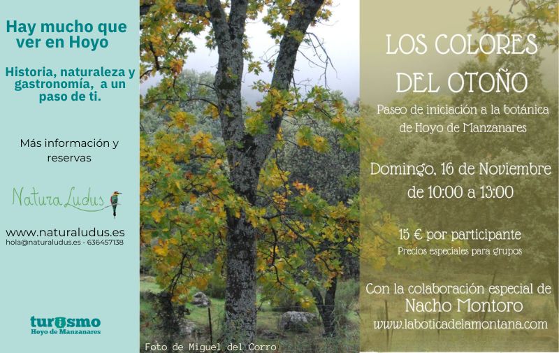 Los Colores del Otoño. Paseo etnobotánico. NaturaLudus