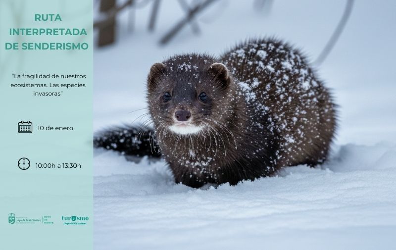Sábado 10 de enero. Ruta Interpretada de Senderismo «La fragilidad de nuestros ecosistemas. Las especies invasoras»
