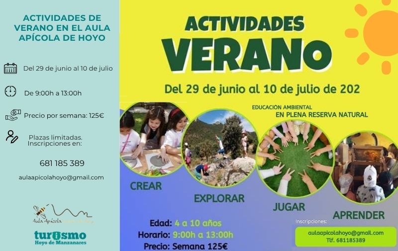 Actividades de verano en el Aula Apícola de Hoyo